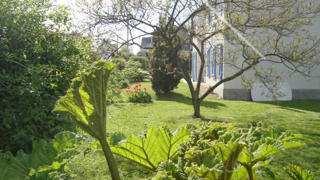 La Maison Claire Longueville  Dış mekan fotoğraf